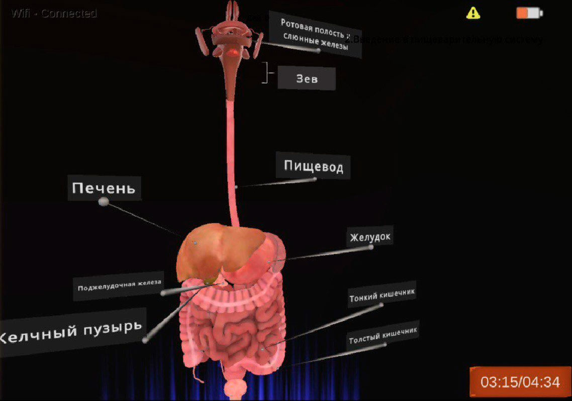 PolyVR